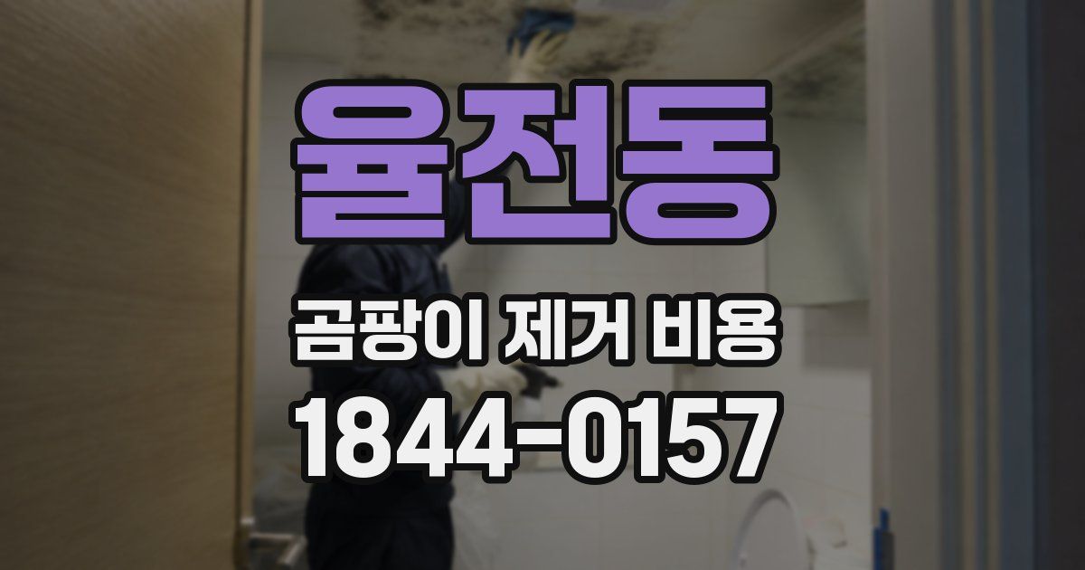 율전동 곰팡이 제거 비용