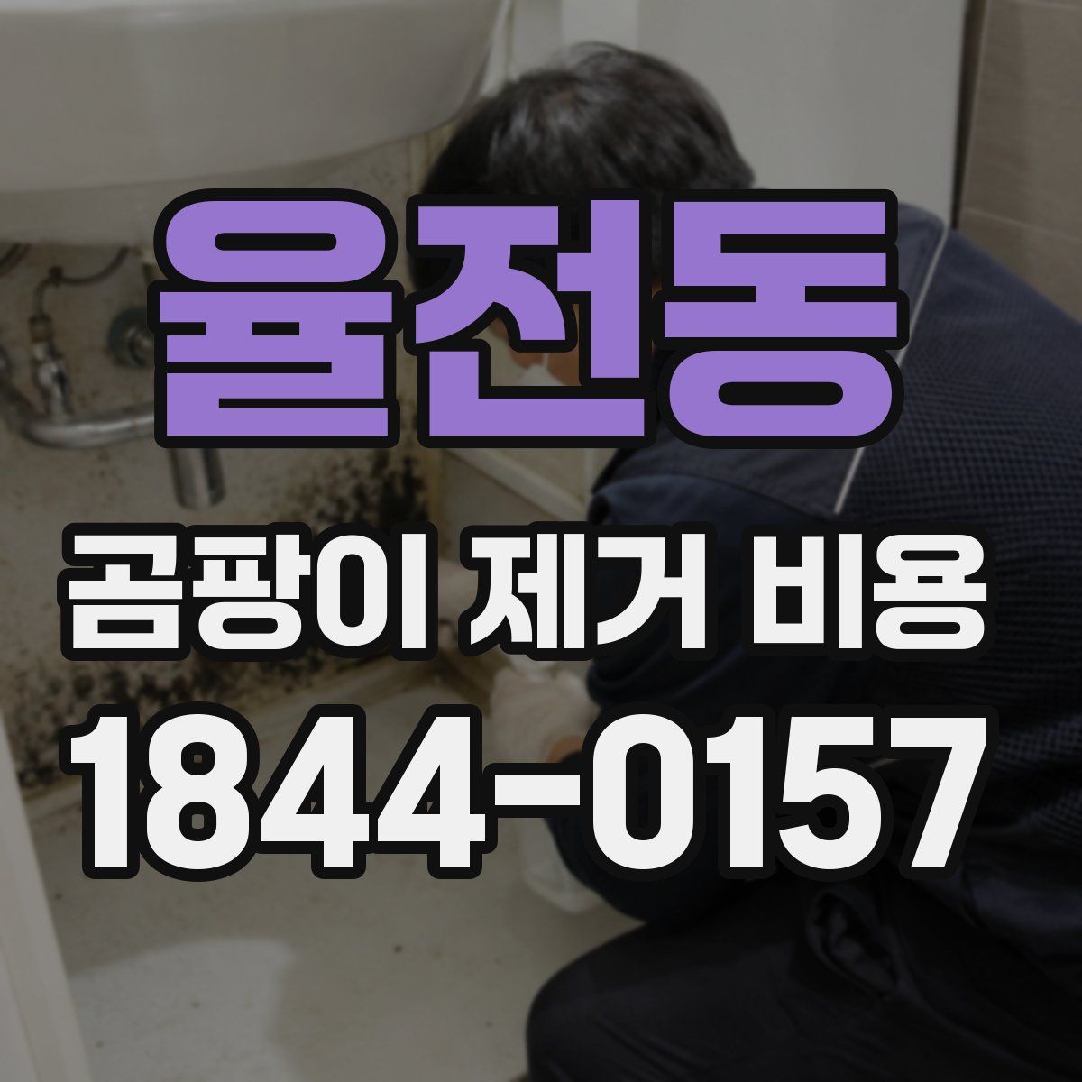 율전동 곰팡이 제거 비용