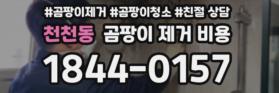 천천동 곰팡이 제거 비용