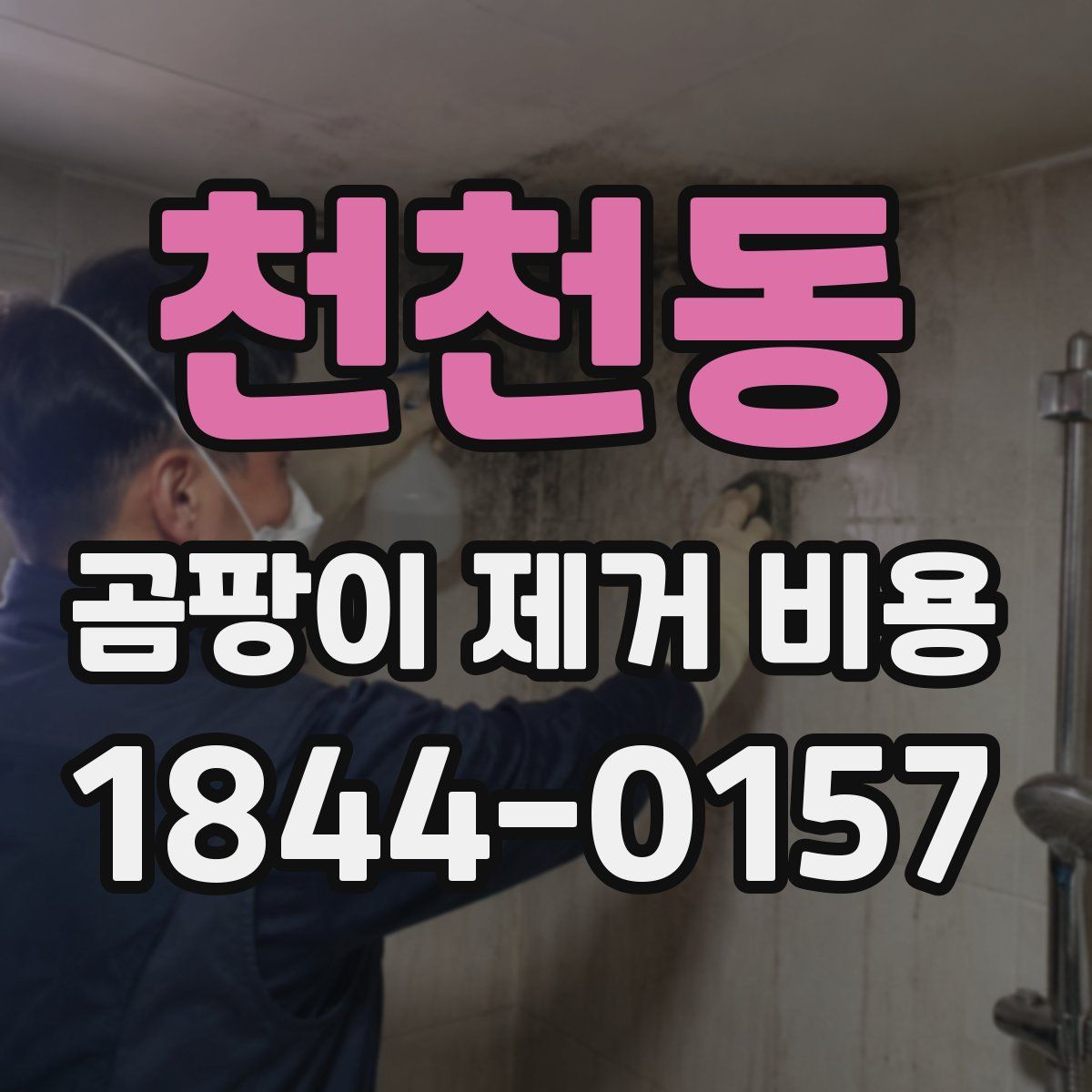 천천동 곰팡이 제거 비용