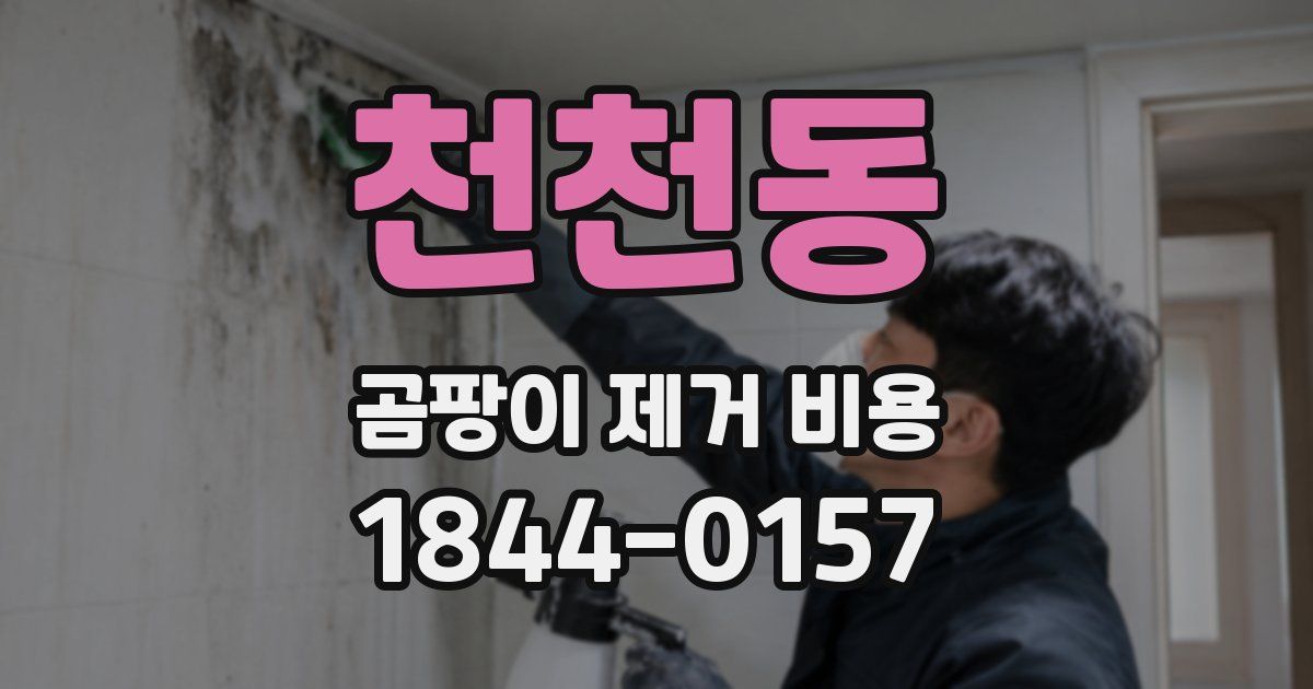천천동 곰팡이 제거 비용