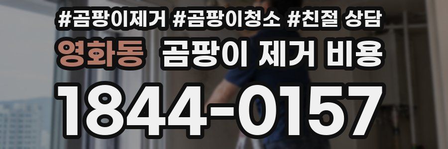 영화동 곰팡이 제거 비용