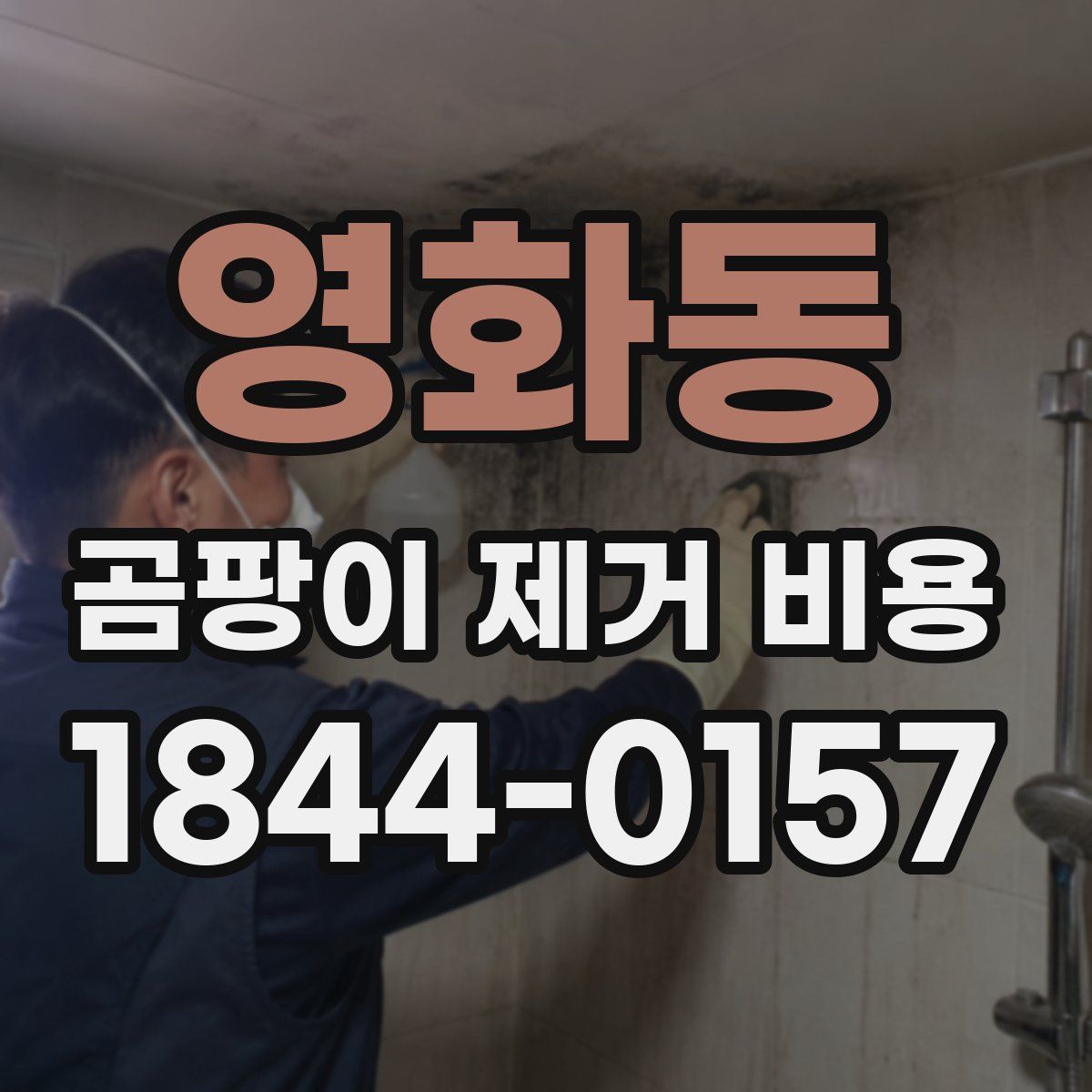 영화동 곰팡이 제거 비용