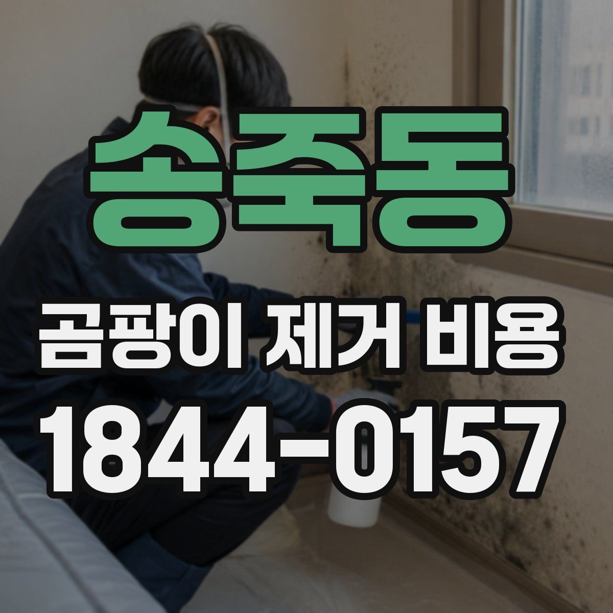 송죽동 곰팡이 제거 비용