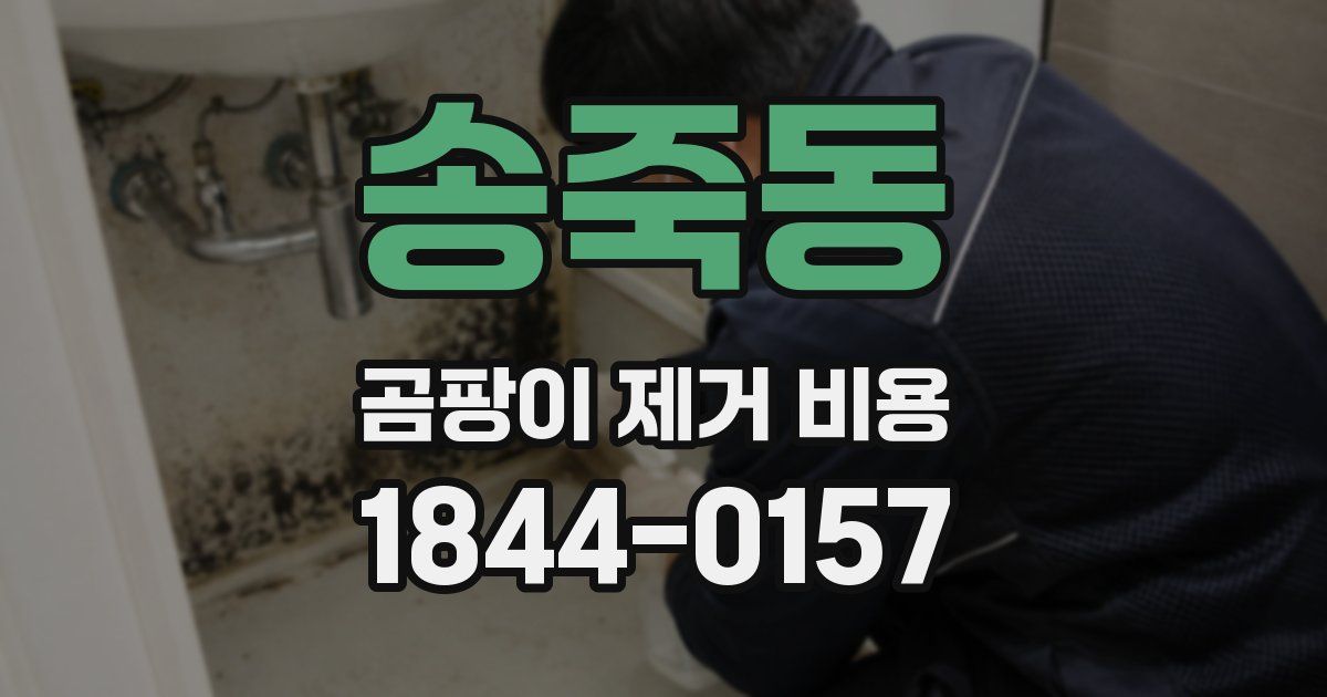 송죽동 곰팡이 제거 비용