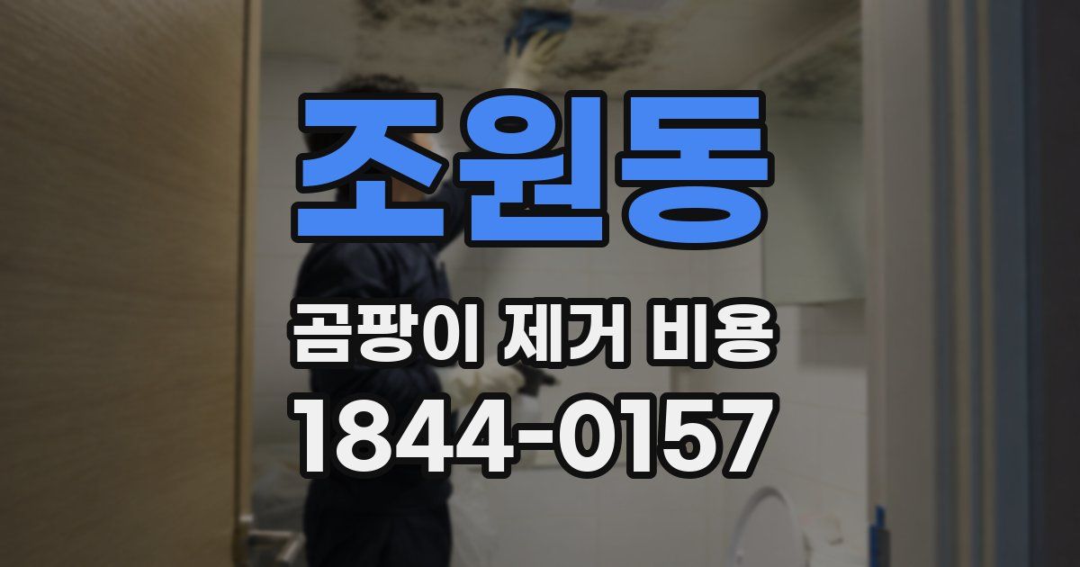 조원동 곰팡이 제거 비용