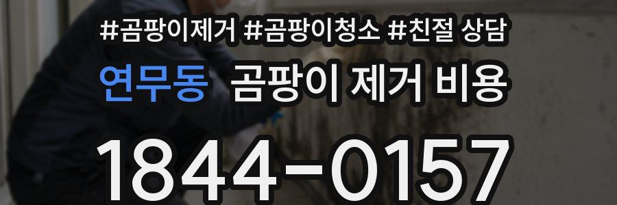 연무동 곰팡이 제거 비용