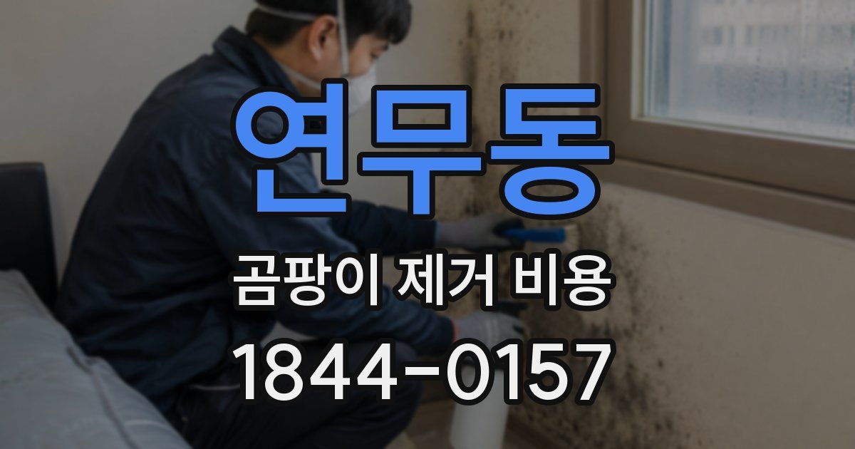 연무동 곰팡이 제거 비용