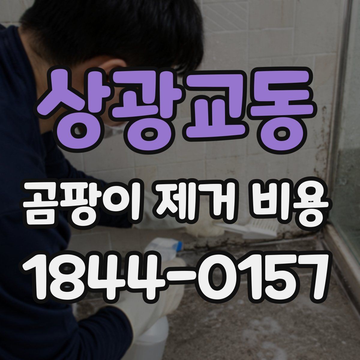 상광교동 곰팡이 제거 비용 비교 전 알아야 할 시공 순서