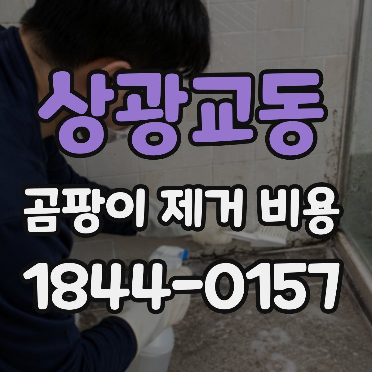상광교동 곰팡이 제거 비용
