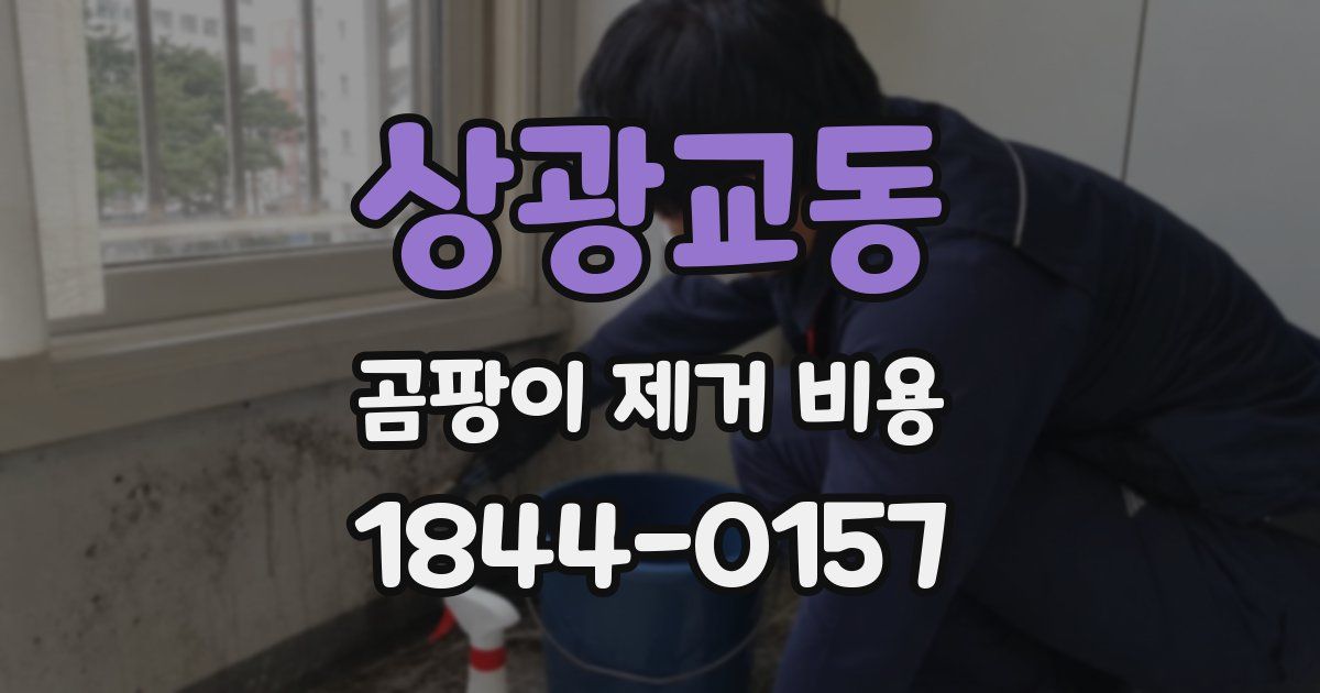 상광교동 곰팡이 제거 비용