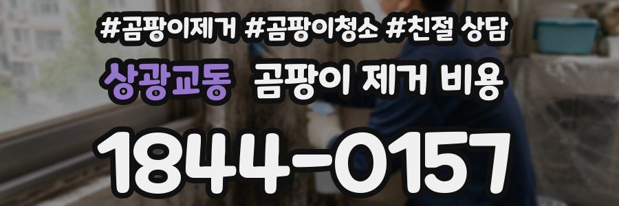 상광교동 곰팡이 제거 비용