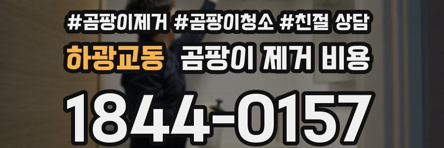 하광교동 곰팡이 제거 비용