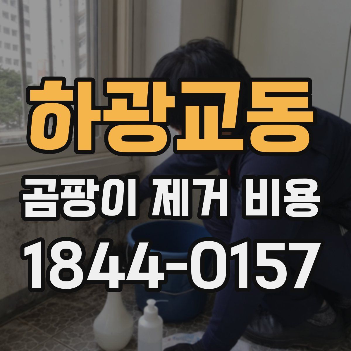 하광교동 곰팡이 제거 비용