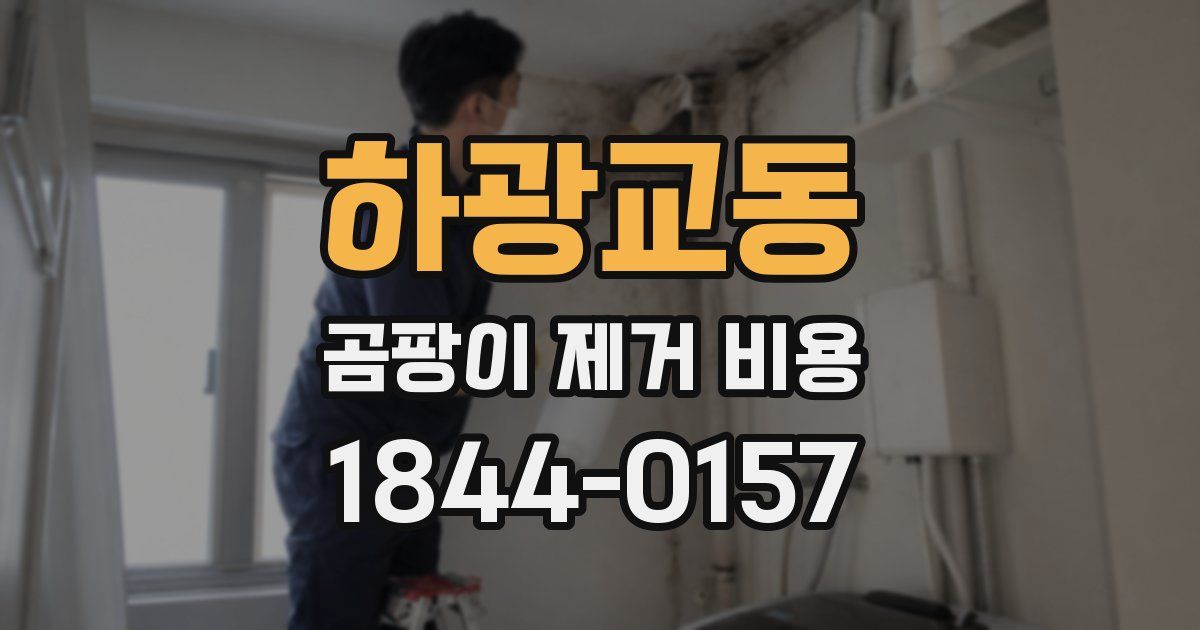하광교동 곰팡이 제거 비용