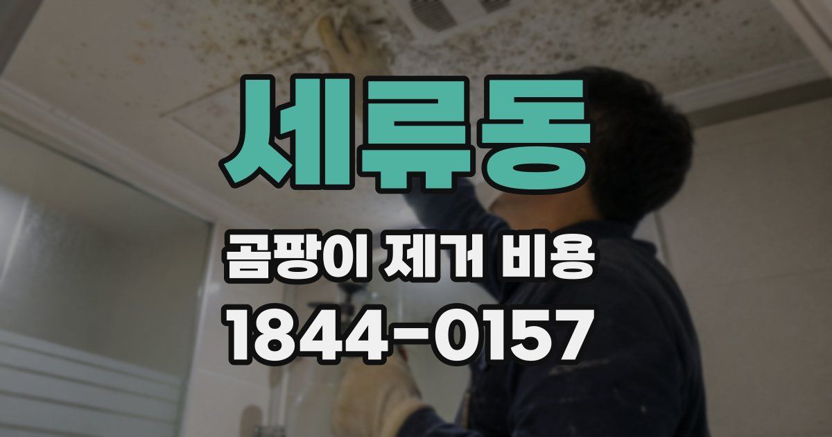 세류동 곰팡이 제거 비용