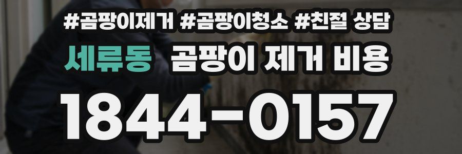 세류동 곰팡이 제거 비용