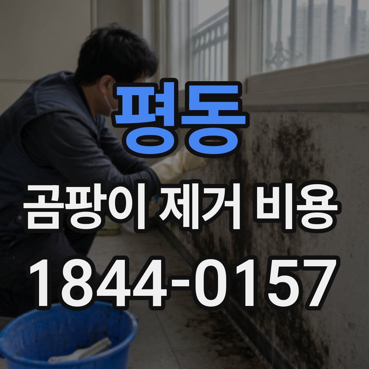 평동 곰팡이 제거 비용