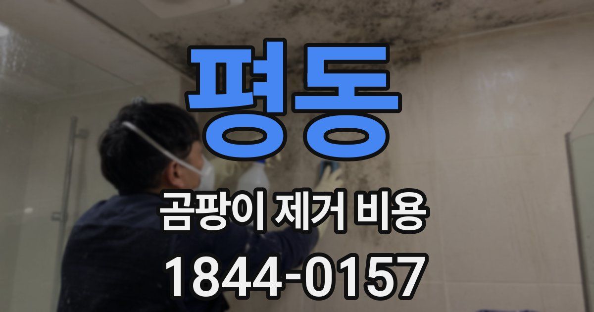 평동 곰팡이 제거 비용