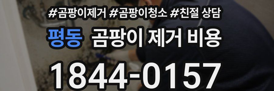 평동 곰팡이 제거 비용