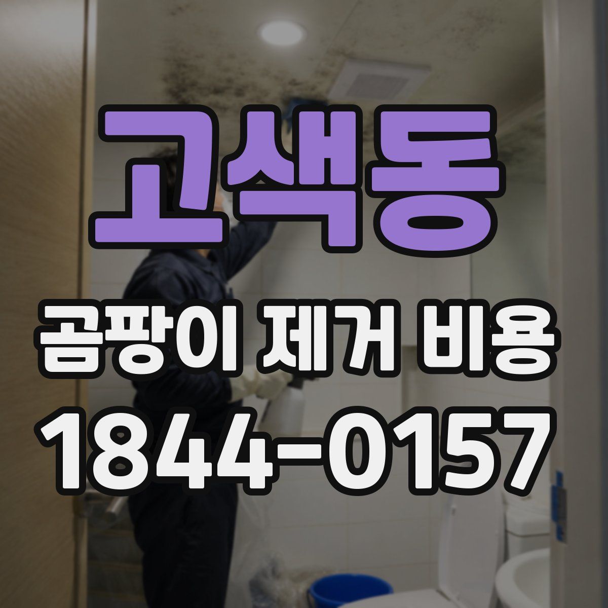 고색동 곰팡이 제거 비용