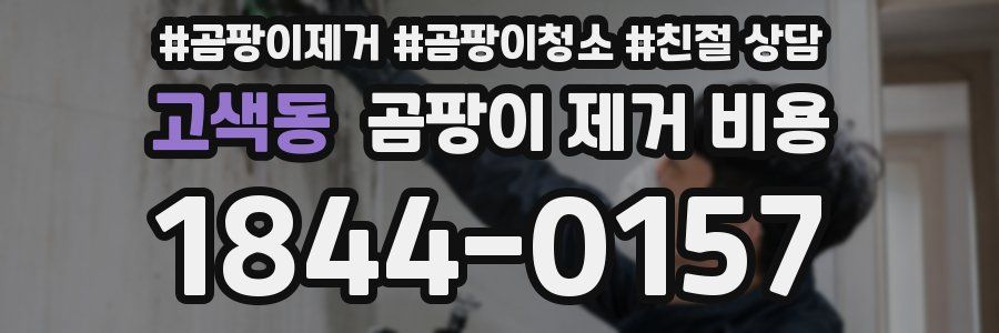 고색동 곰팡이 제거 비용