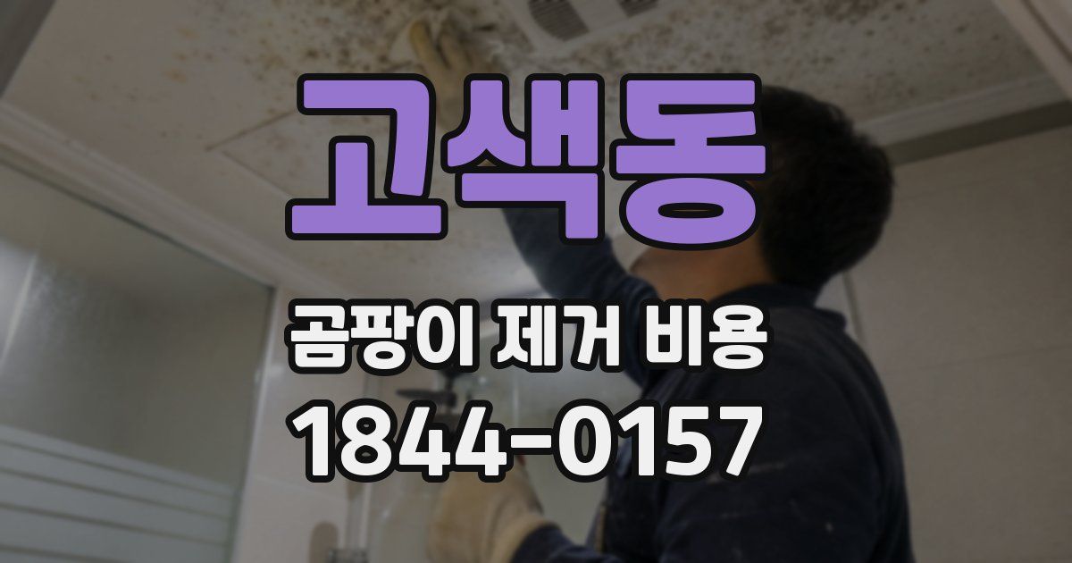 고색동 곰팡이 제거 비용