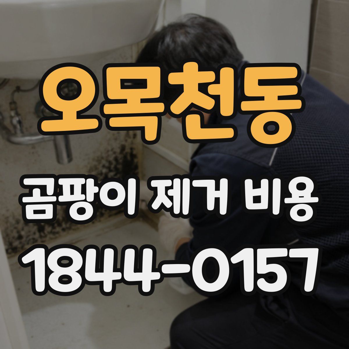 오목천동 곰팡이 제거 비용