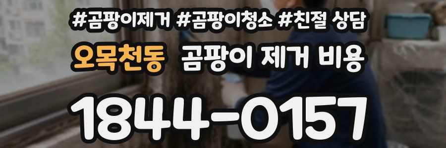 오목천동 곰팡이 제거 비용