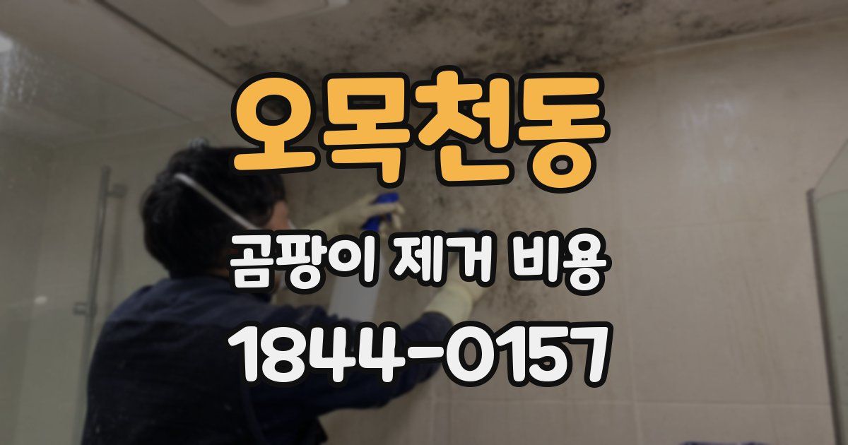 오목천동 곰팡이 제거 비용