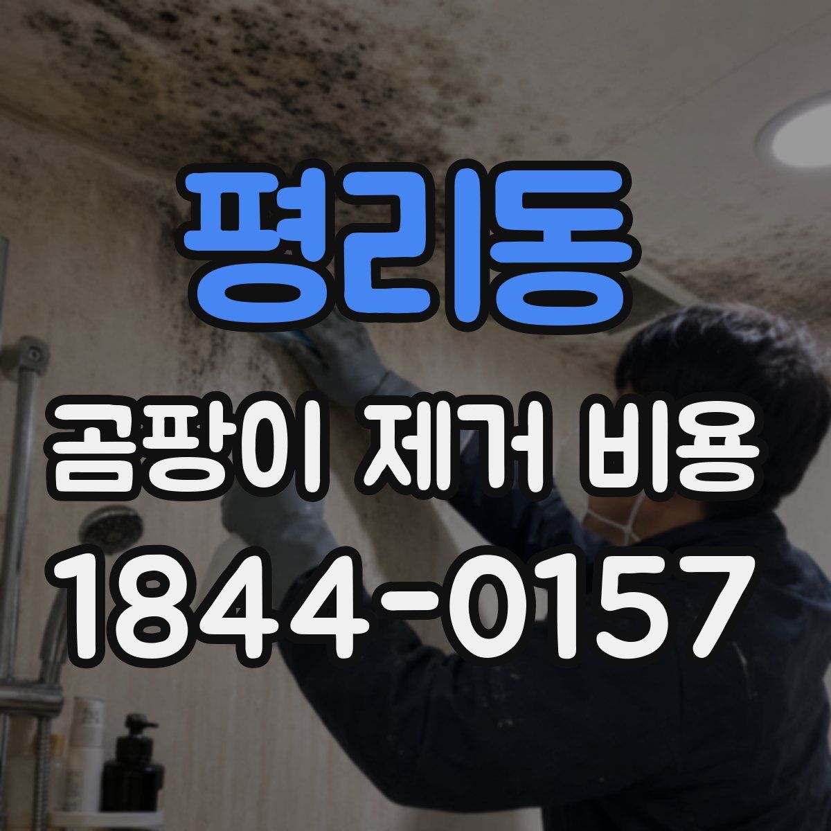평리동 곰팡이 제거 비용