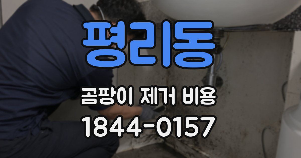 평리동 곰팡이 제거 비용