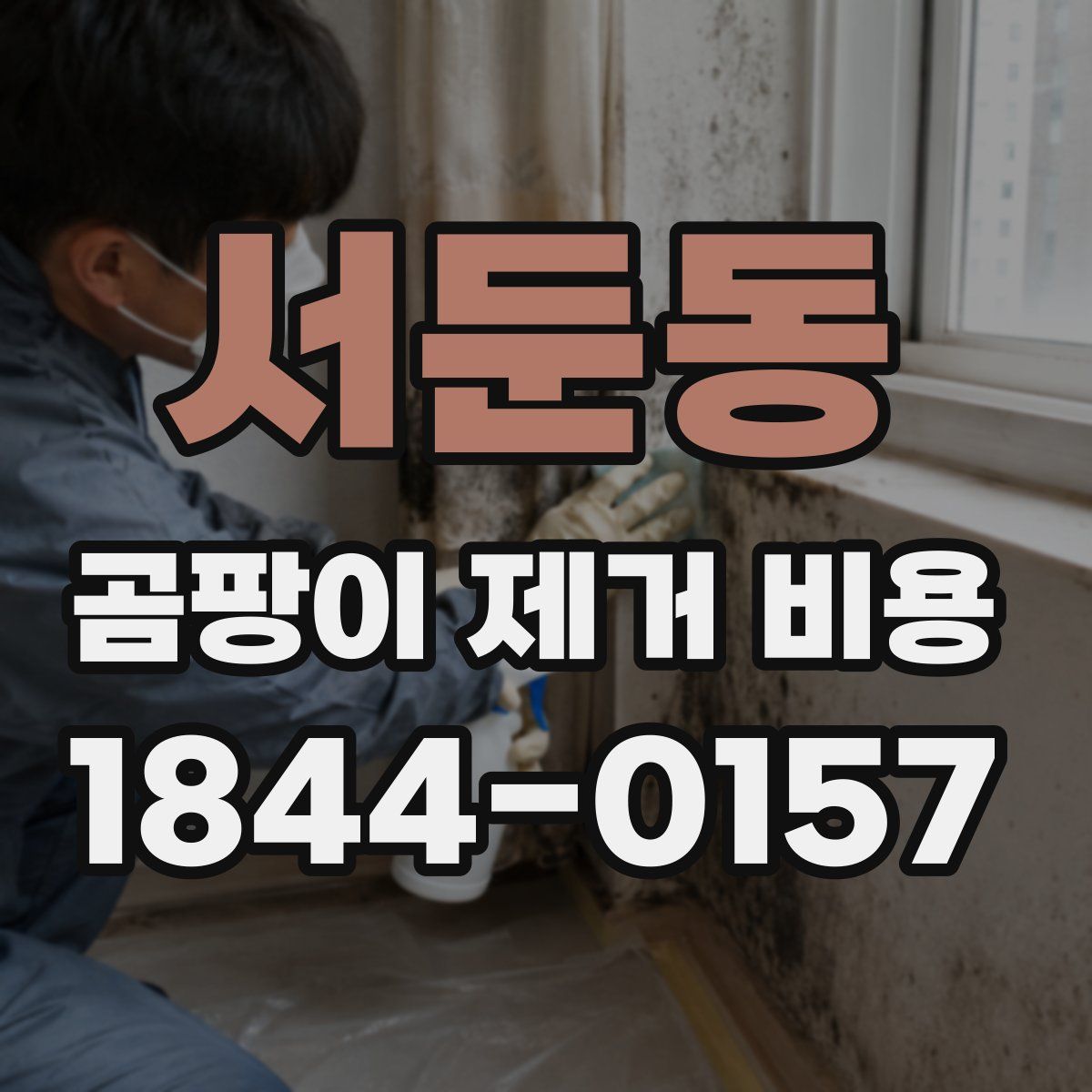 서둔동 곰팡이 제거 비용