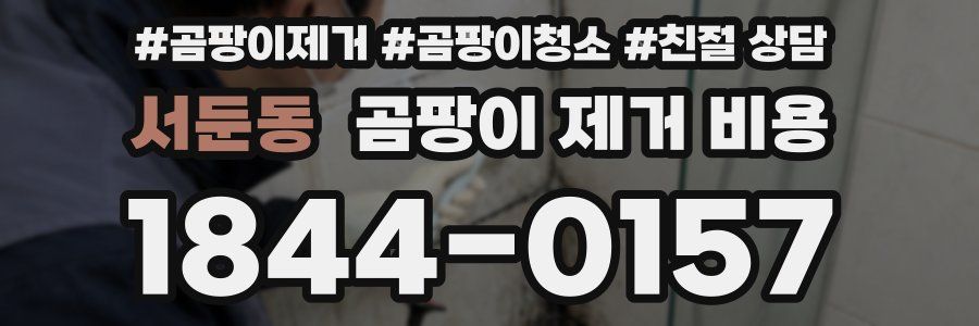 서둔동 곰팡이 제거 비용