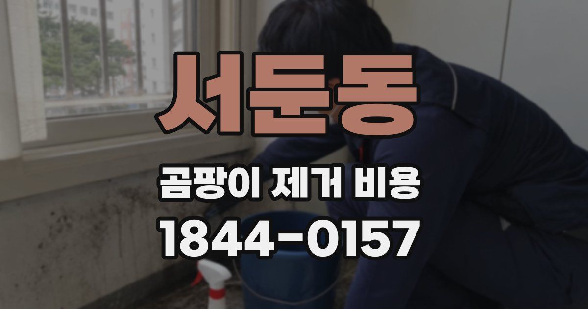 서둔동 곰팡이 제거 비용