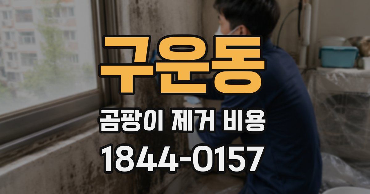 구운동 곰팡이 제거 비용