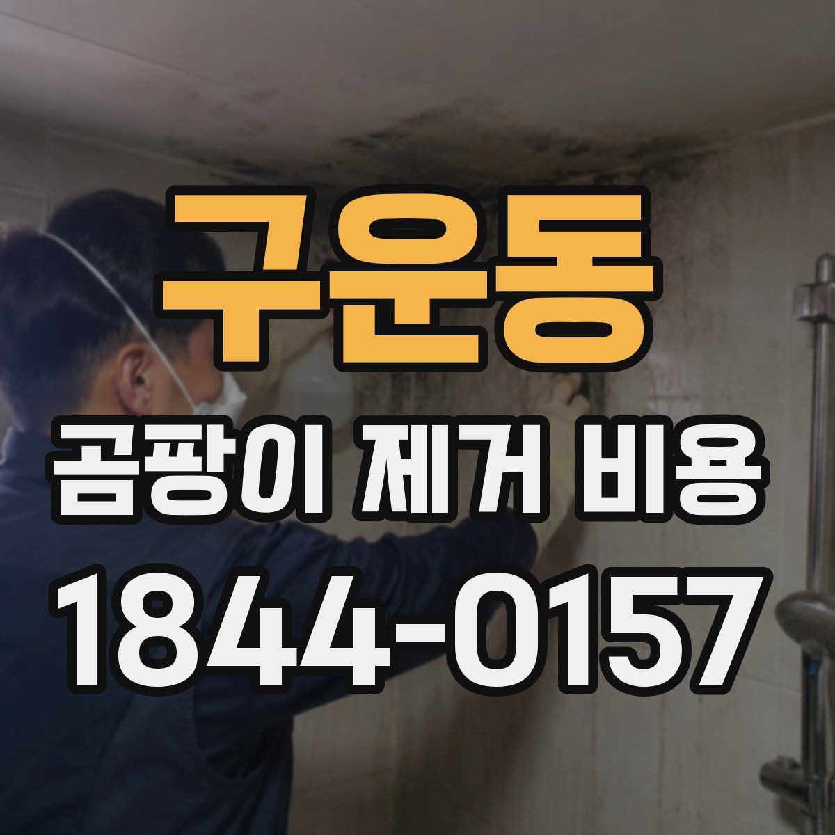 구운동 곰팡이 제거 비용
