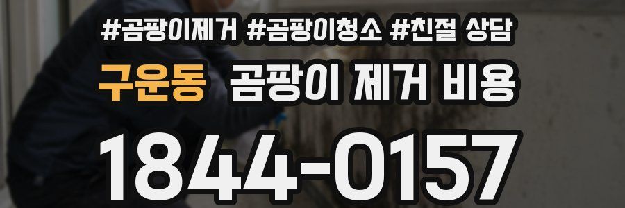 구운동 곰팡이 제거 비용