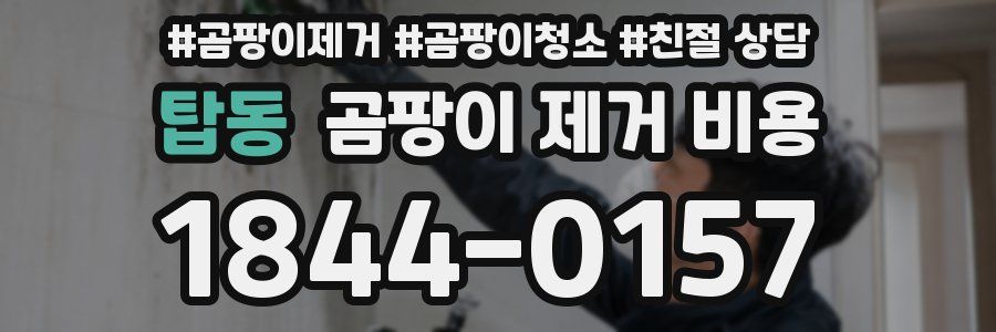 탑동 곰팡이 제거 비용