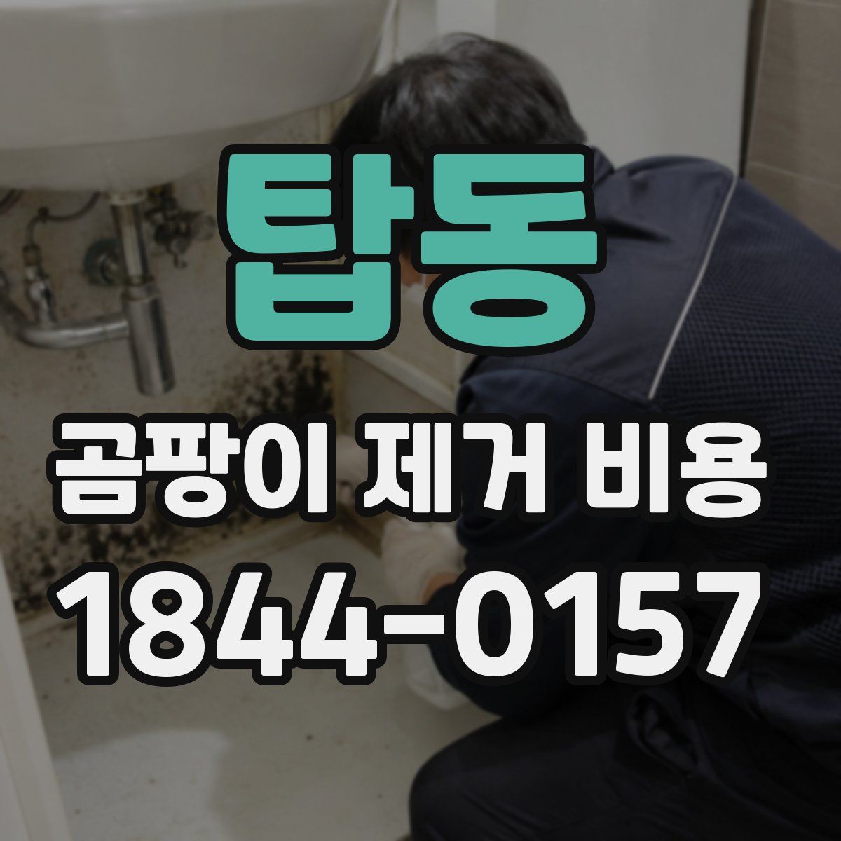 탑동 곰팡이 제거 비용
