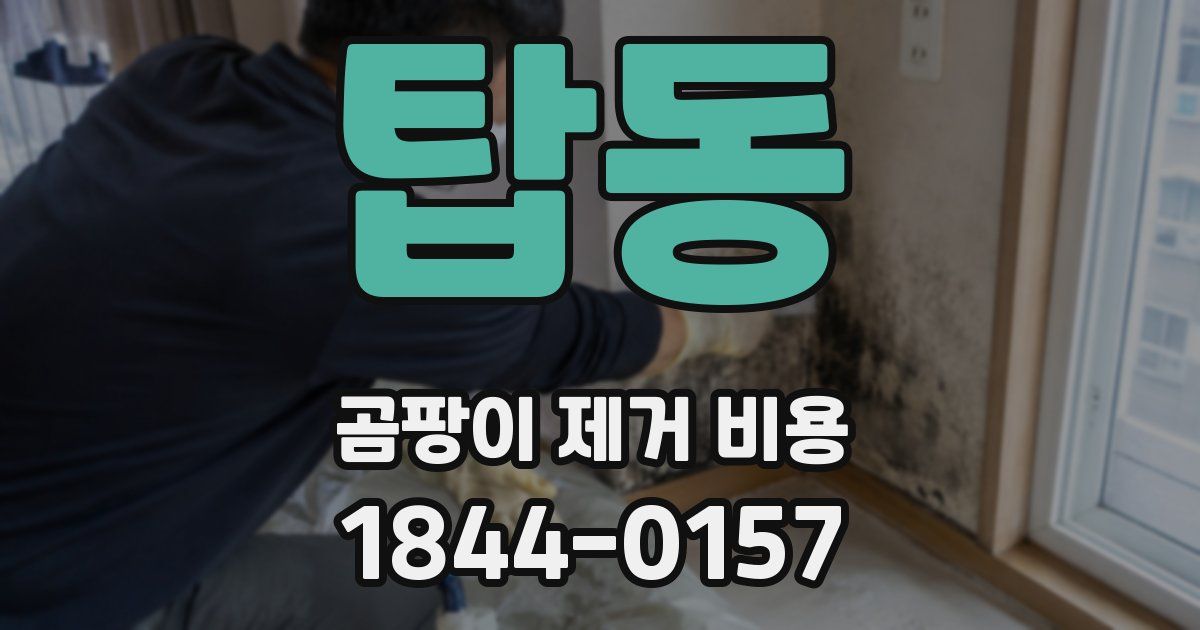 탑동 곰팡이 제거 비용