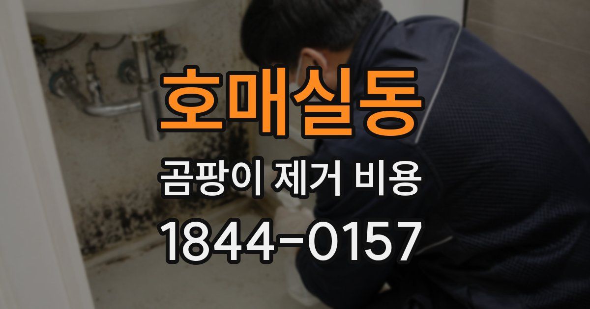 호매실동 곰팡이 제거 비용