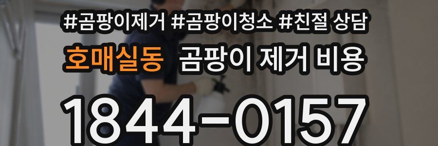 호매실동 곰팡이 제거 비용