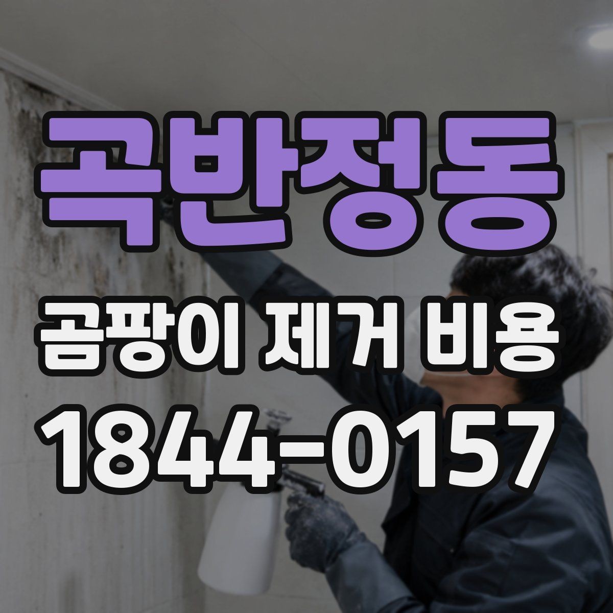 곡반정동 곰팡이 제거 비용 바닥과 벽면은 어떻게 달라질까