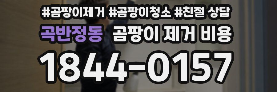 곡반정동 곰팡이 제거 비용