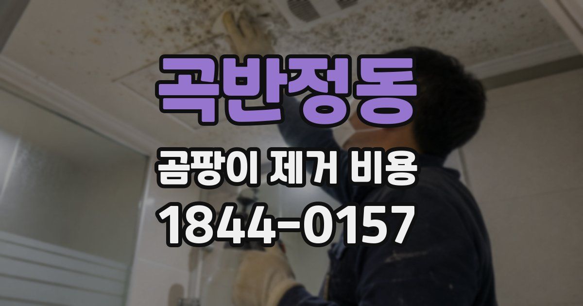 곡반정동 곰팡이 제거 비용