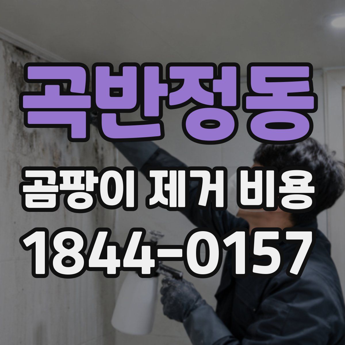 곡반정동 곰팡이 제거 비용