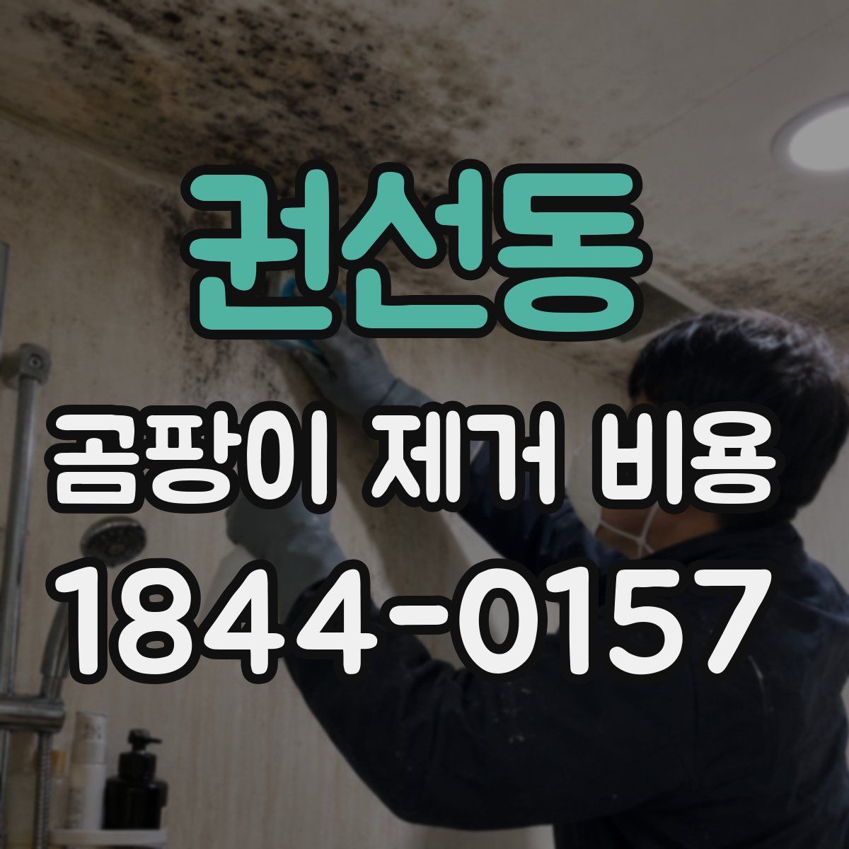 권선동 곰팡이 제거 비용