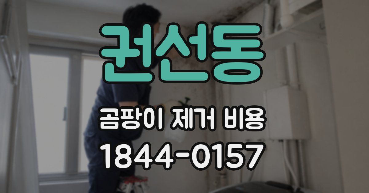 권선동 곰팡이 제거 비용