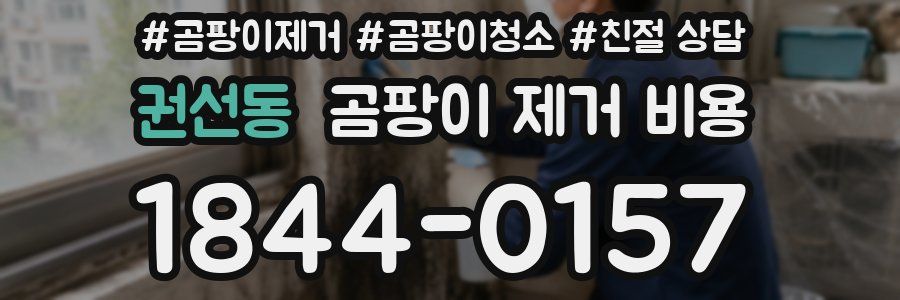 권선동 곰팡이 제거 비용